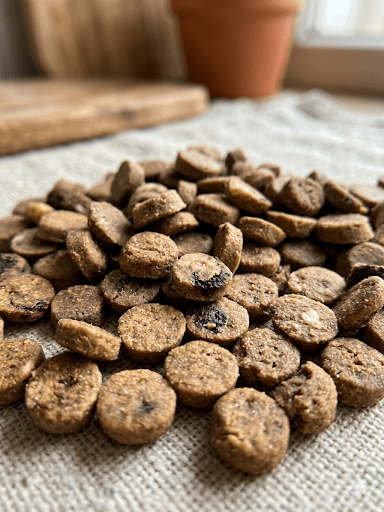 What Is Slow-Baked Kibble and Why Does It Matter?