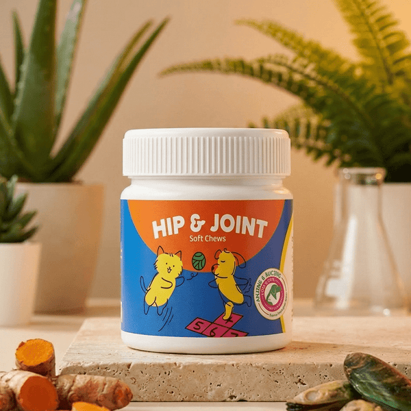 Hip & Joint Chews